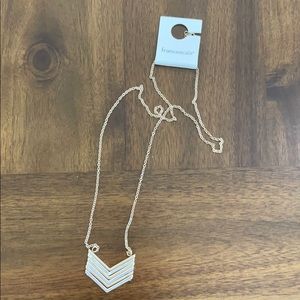 NWT Francesca’s Gold and Silver Necklace